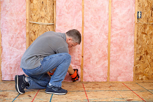 Best Batt and Roll Insulation  in Buckeystown, MD